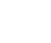 Der  große tierische Adventskalender Hier  dabei sein